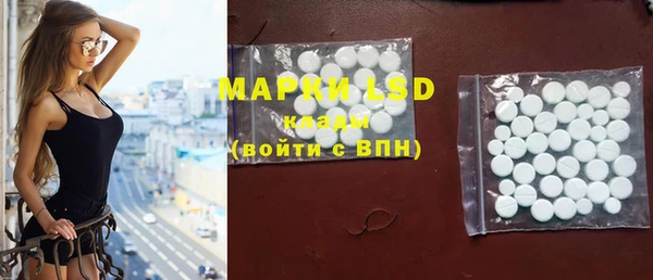 прущие грибы Новокубанск
