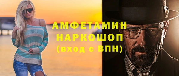 прущие грибы Новокубанск