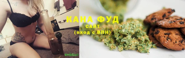 первитин Новодвинск