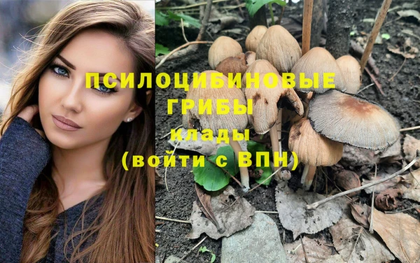 тгк Нягань