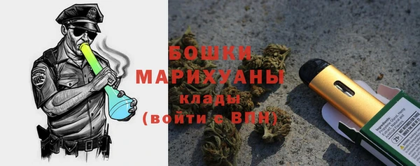 первитин Новодвинск