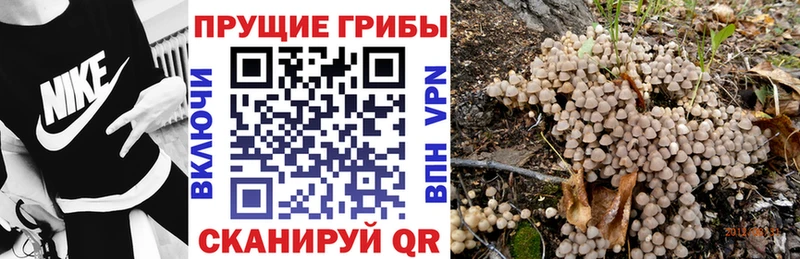 Псилоцибиновые грибы мухоморы  где продают   Барнаул 