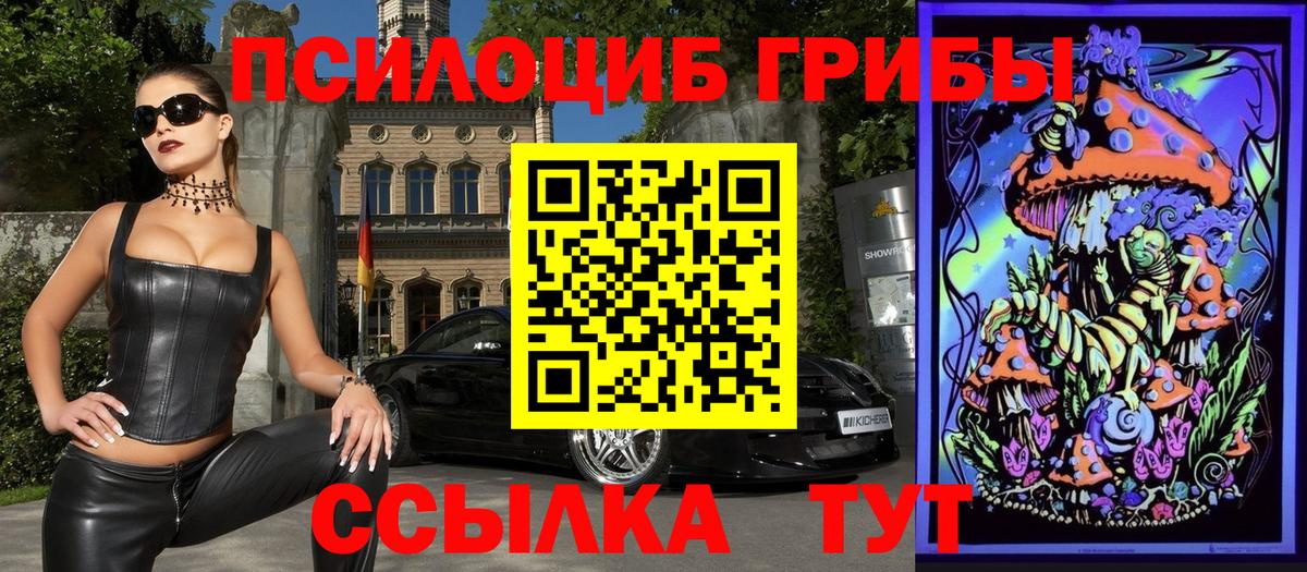 Псилоцибиновые грибы мицелий  Барнаул  Псилоцибиновые грибы MAGIC MUSHROOMS 