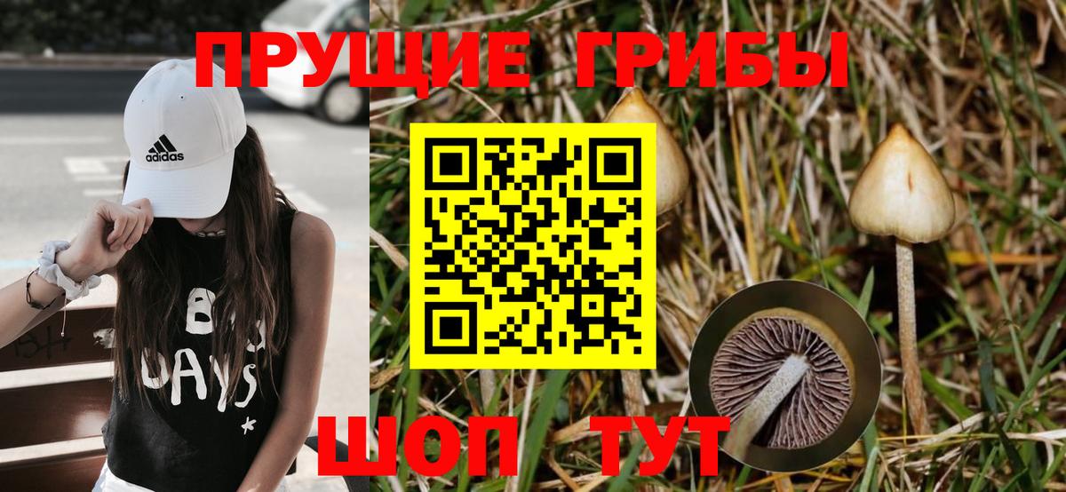 МАРИХУАНА Барнаул