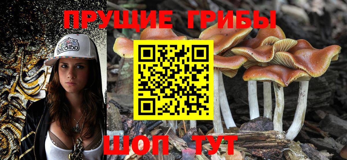 Псилоцибиновые грибы Magic Shrooms  Вход с VPN  Псилоцибиновые грибы Psilocybe  Барнаул 